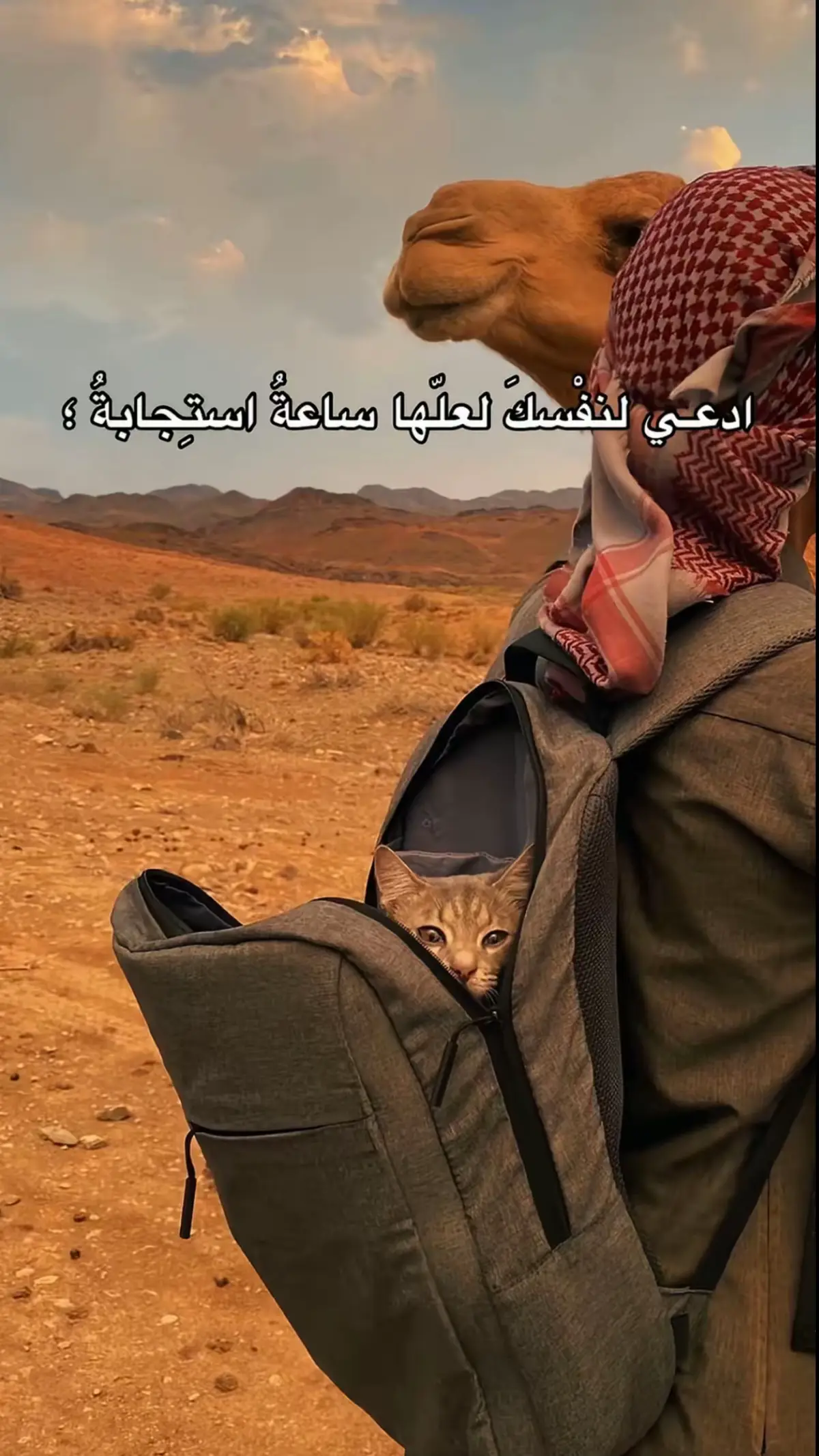 #https لاإله إلاالله ❤️