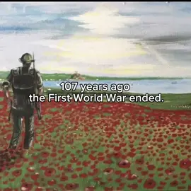 Never forget  #ww1 #lestweforget #lestweforget🌹 #fy #fyp 