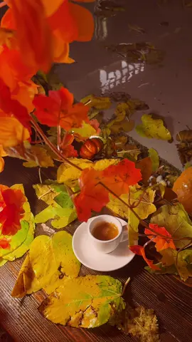 خريف بريزس كافيه #بريزس_كافيه #الطائف #خريف #شتاء #امطار  @بريزس كافيه 