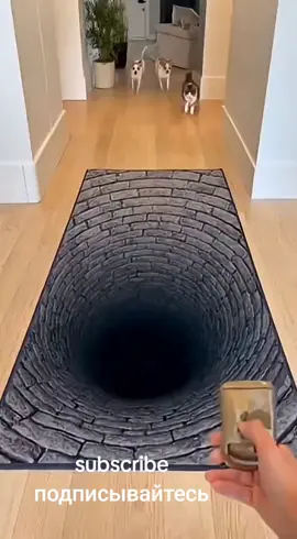 #cat #кот #dog #собаки #animals #prank 