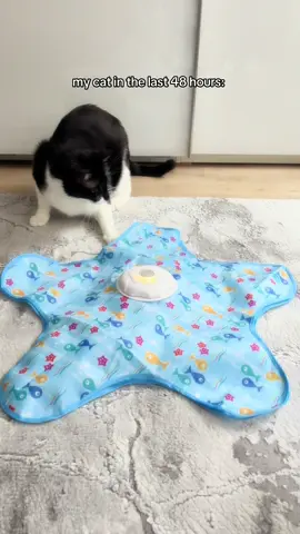 approved 🩵 #fyp #viral #cattoy #shop #tiktokshop 