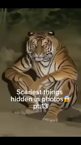#foryou #hidden #scary #fyp #fyyyyyyyyyyyyyyyy 