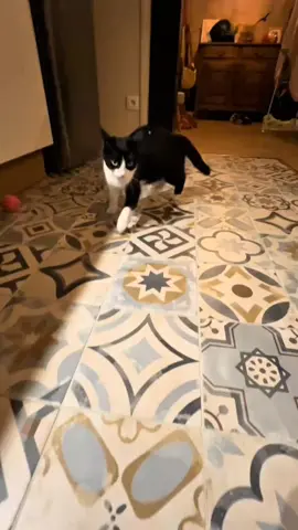 cat bossfight #interactive #game #viral #fyp #brainrot 