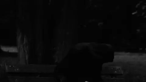 مو انه يا حزن لتحرگ الجفن ،🎧🌿✨ #سيد_سلام_الحسيني #قصائد  #حزن #اكسبلورexplore #fyp 