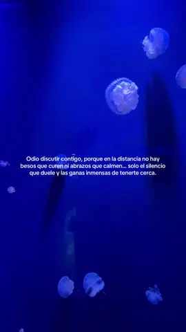 #relacionadistancia #teodiodistancia #paratiiiiiiiiiiiiiiiiiiiiiiiiiiiiiii #novios #viral 