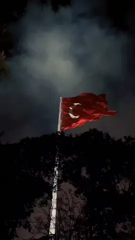 Azerbaycan’dan ülkemize gelmek üzere havalanan C130 askerî kargo uçağımızın Gürcistan-Azerbaycan sınırında düştüğü haberini derin bir üzüntüyle öğrendik. Şehitlerimize Yüce Allah’tan rahmet, kederli ailelerine ve milletimize başsağlığı diliyoruz🇹🇷