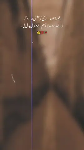 It,s true lines 🥺💯🥀#poertrylines🥀💯😩🔥 #foryoupageofficiall #unfreezemyacount #viewsproblem150kviews #