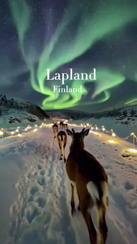 ❄️Winter in Lapland⛄️ #lapland #finland #winter #polarlights #fyp 