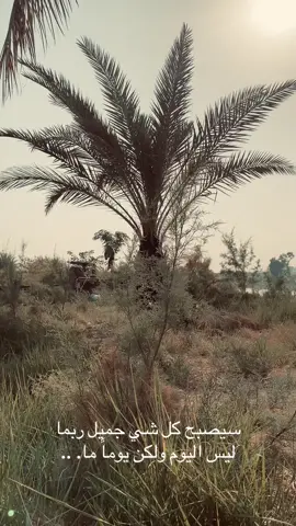 سيصبح كل شي جميل ربما ليس اليوم ولكن يوماً ما. ..