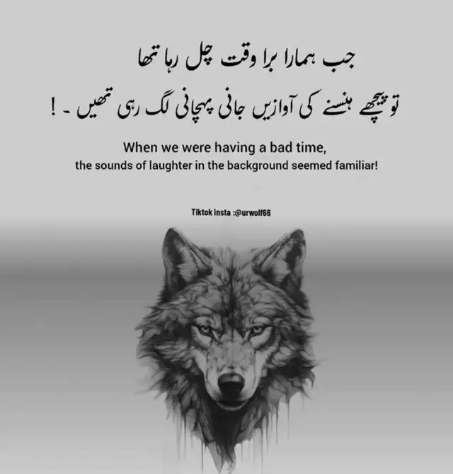 #blackwolf #stromwolf🐺 #callmewolf🐺 