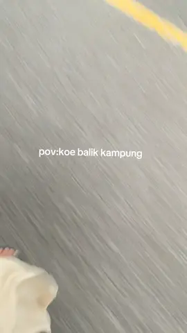 #cilacapngapak #foryou #fyp 