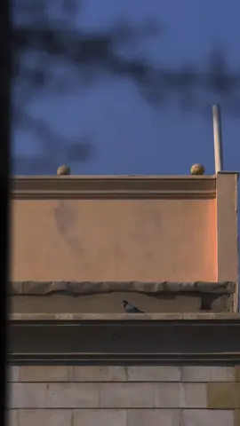 ايامٌ لا يملك المرء فيها حيلةً  سوى أن يرفع وجهه للسّماء تاركاً عينيه تبوح