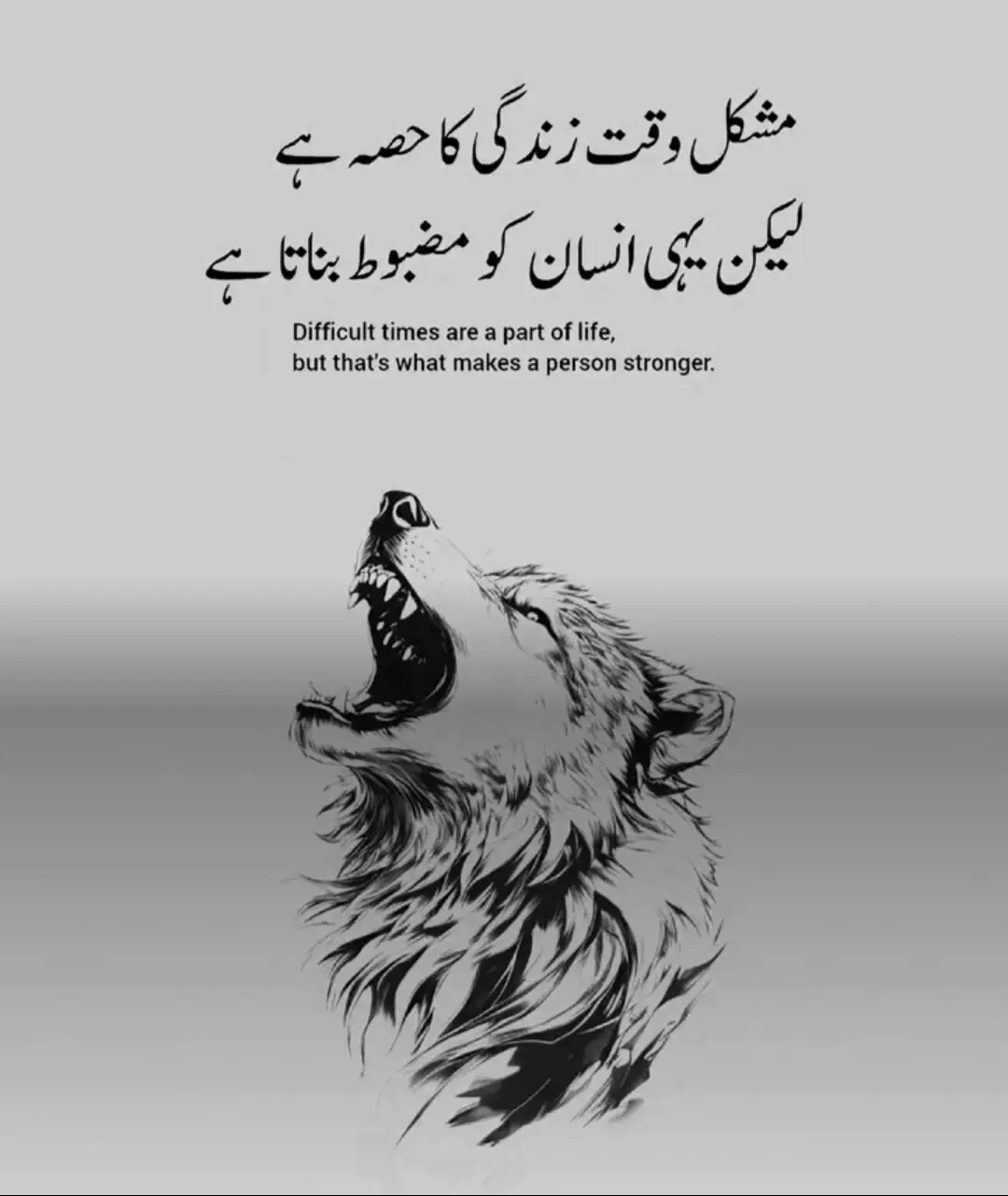 #stromwolf🐺 #blackwolf #callmewolf🐺 