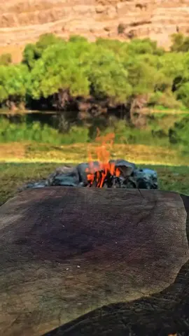 #FoodTok #outdoorcooking #survival #tiktokfood #asmr 