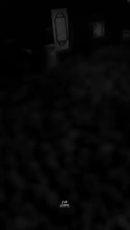 مو كل التشيب سوه.  #علي_الوائلي 