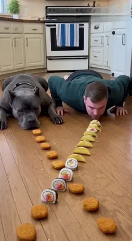 I swear this dog is the main character 😭 #canecorso #dogchallenge #dograce #dogsoftiktok #funnydog  Produced using creative tools.