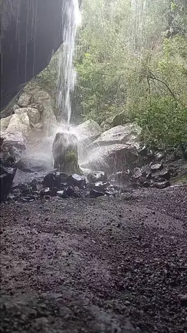 mnisi WeZulu   4th day of 7 days water prayer 🙏