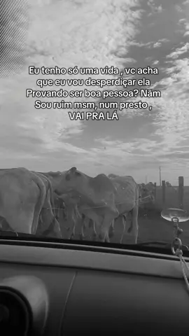 Vai pra longe , FIQUEI LONGEEEE #fyy #agrogirl #agropecuaria 