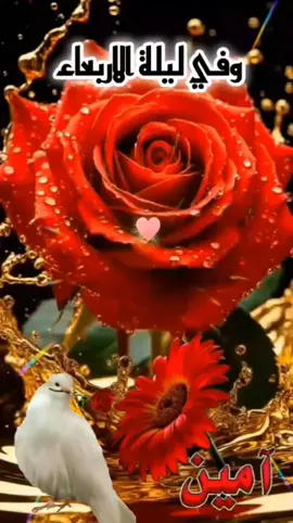 دعاء ليلة الأربعاء ❤️ #ديني 