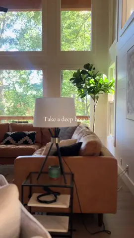 When all you need is a deep breath and a Mountain View. Our two Blue Ridge properties are a perfect winter retreat whether it’s during the holidays or a post holiday reset, come visit us northrodgeescapes.com. 15% off your holiday stays with code JOLLY.  #NorthRidgeEscapes #blueridgemountains #fyp #FamilyTravel #HolidayStay  