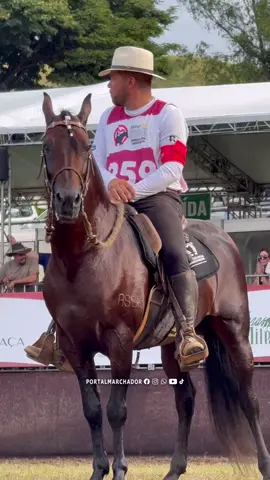 #abccmm #cavalo #mangalargamarchador #machador #egua 