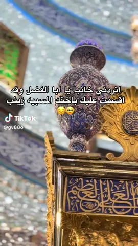 #سعدشميل🔒🖤اويلاه😌 #الشعرالشعبي_العراقي_الشاعر #الشعب_الصيني_ماله_حل😂😂 #العتبه_العباسيه_المقدسه 