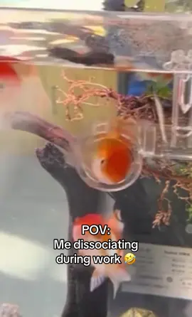 Anywhere but here 😭 #worklife #dissociate #humor #fyp #funny