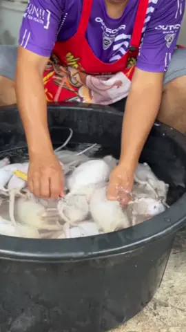 #senegalaise_tik_tok #viral_video #fyppp #pourtoii #food 