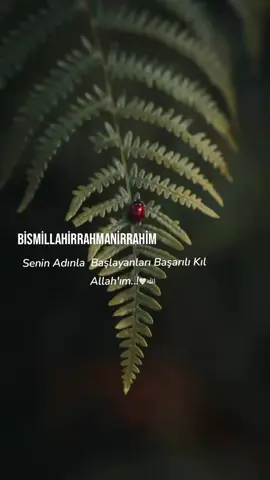 ##DUA #herşeyin kilidi olan #BİSMİLLAH ile #keşfetteeyizz #viral_viral_virsl 