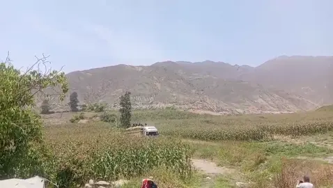 #transporteElchino🚛💨😎 #exoticopalmundo🌎 #siempremarcandoladiferencia #loco😜😜pero😁😁feliz #joventrailero🚛💨🦖 