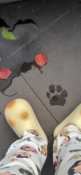 Dép sục lông chống nước. Dép sục dấu chân mèo #xuhuong #fashion #depcute #deplong #depbong 