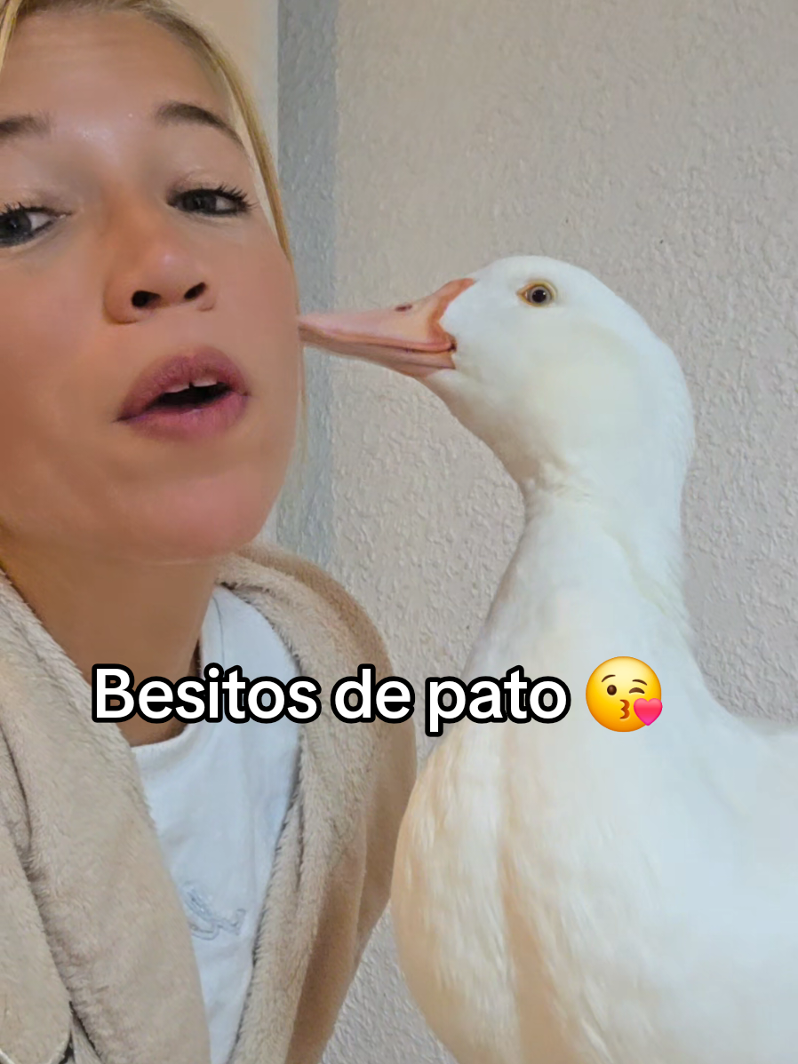 Besitos 💘😘😘😘😘 #viral #fyp #fy #paratiiiiiiiiiiiiiiiiiiiiiiiiiiiiiii #foryoupage❤️❤️ 