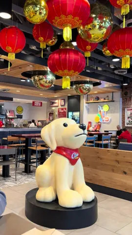 I love u @raisingcanes #canes #chinatown #washingtondc #dcfoodie #dcrestaurants 