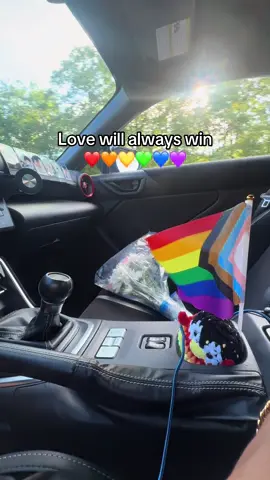 😊🏳️‍🌈 #fyp #foryoupage #Pride #lovealwayswins 