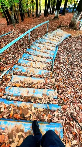 Cennetin vedi ile pisliklerden cekinirsense, bu ibadet deyil ticaretdir #mese #xanbulan #autumn #غابات_الموصل #viraltiktok 