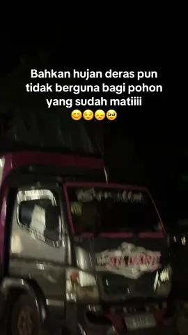 Tapi ini bukan tentang pohonnn @🅰️LVARO👻 @Avanza_Gemoy21 #fyppppppppppppppppppppppp #masukberandafyp #terding #supirtrukindonesia #paketbalap 