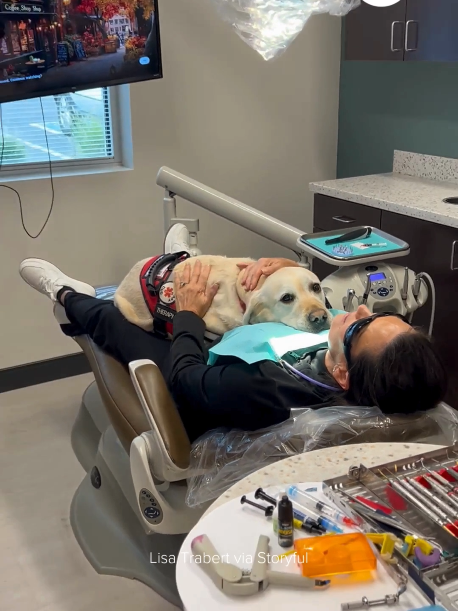 A dental therapy dog with a hilarious lack of boundaries was caught on video lying on top of a patient during an appointment at the Colorado clinic where she works. The Labrador named Annie helps out at Highlands Ranch Dental Care as their “resident patient care assistant,” according to a Facebook post. “Annie loves taking care of our patients while our team works their magic,” the dental clinic wrote. “Whether you get anxious for your dental visit or just like having a furry friend by your side, Annie will always be there for you,” they said. Video posted to Instagram shows the affectionate Annie plying her trade, smooshing a happy patient in the dental chair as she gets pets.