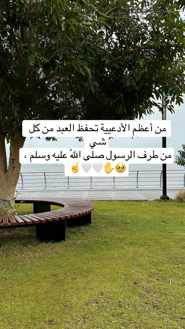 من أعظم الأدعيية تحفظ العبد من كل شي من طرف الرسول صلى اللّٰه عليه وسلم ، 十