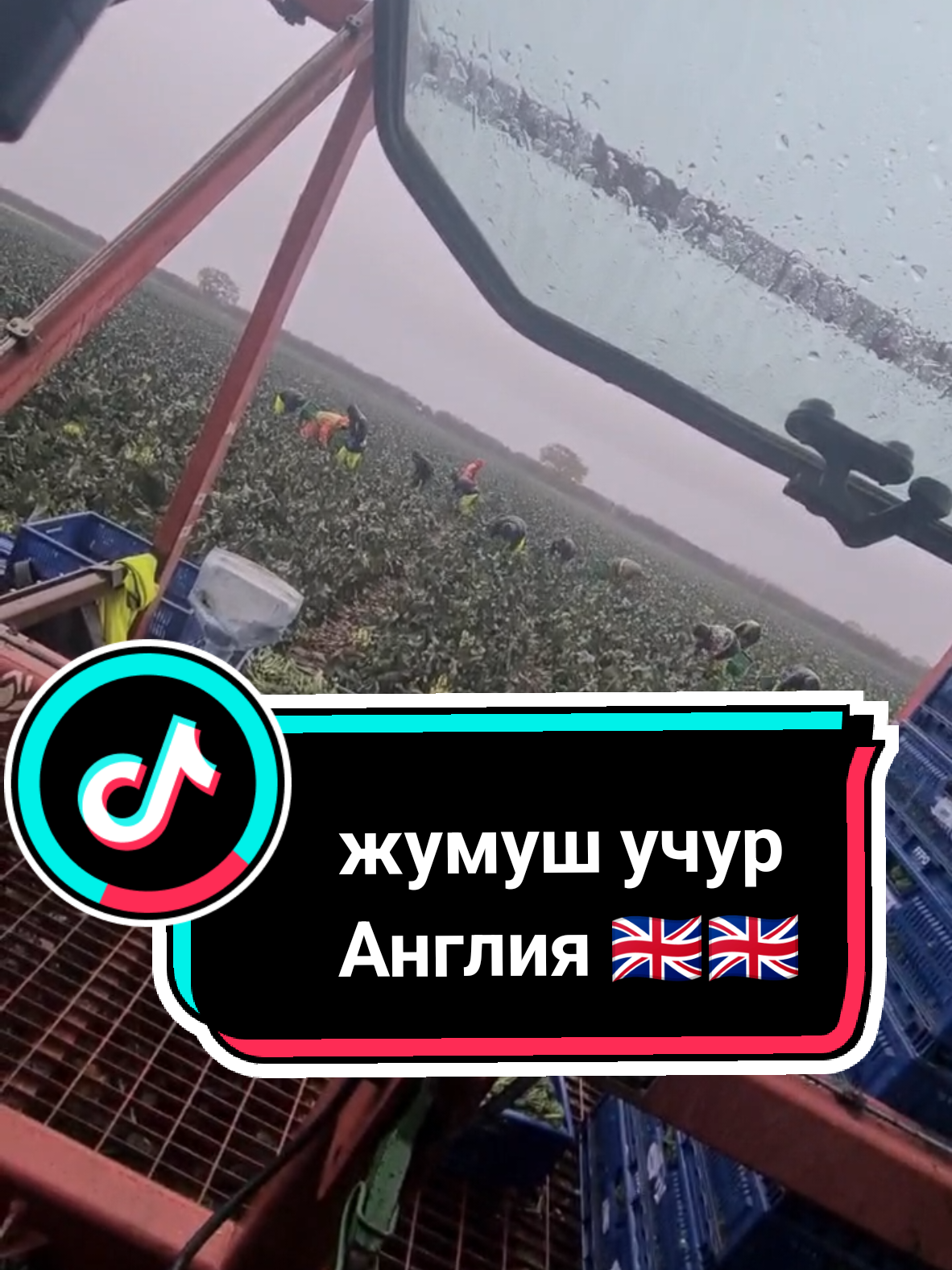 #cobreyfarm2025season#rekomendasifilm 🇬🇧🇬🇧🇬🇧