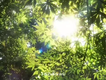 #الانسان اللي يداري الاخرين#الشيرازي_اعلى_الله_درجاته #استغفر_الله #follow #الهم_صلي_على_محمد_وأل_محمد 