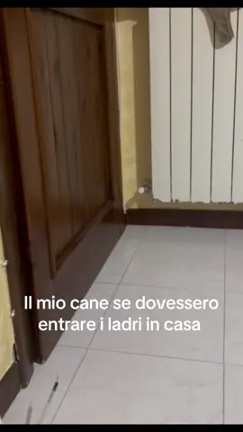 #tiktokviral #fyp #neiperte #fypage #trend #cane 