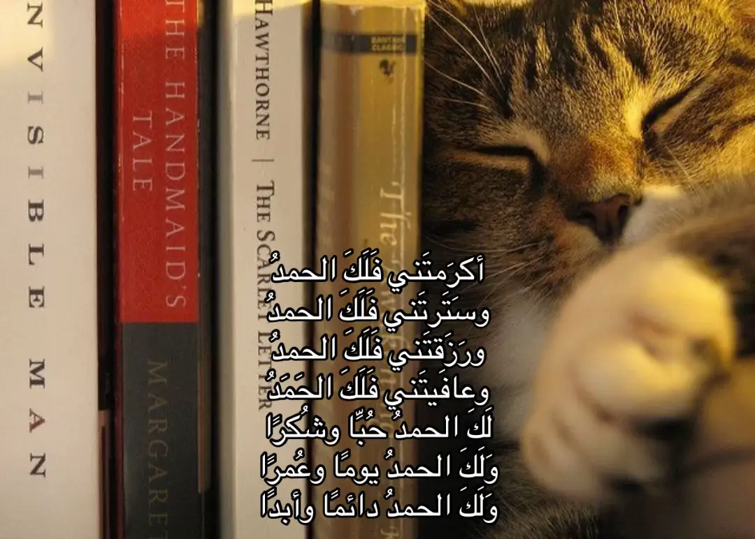 #الهم_صلي_على_محمد_وأل_محمد #القران_الكريم #fyp #قران_كريم #اكسبلور 