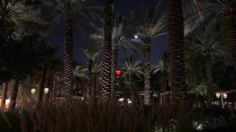 #explore #اكسبلورexplore .'