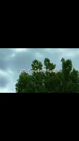 «ربِّ إني لما أنزلت إليّ من خيرٍ فقيرٌ»