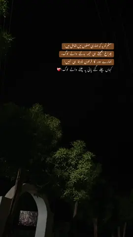 پانی  پہ  چلنے  والے  لوگ.!❤️‍🩹#viral #foryou #foryoupage #fyp #fyppppppppppppppppppppppp #fypシ 