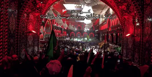 #كربلاء_مدينة_العشق_والعاشقين #البحرين #الله_يرزقني_زيارة_كربلاء #سيد_سلام_الحسيني #حب_اهل_بيت_عشق_لا_ينتهي 