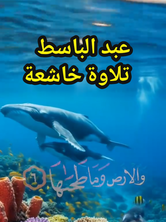 🕊️ الشيخ عبد الباسط عبد الصمد | تلاوة مهيبة لآية 