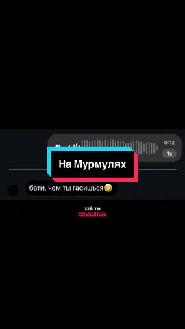 На Мурмулях Муру-мур-мур🐱 #cover #lyrics #намурмулях #fyp #cat 