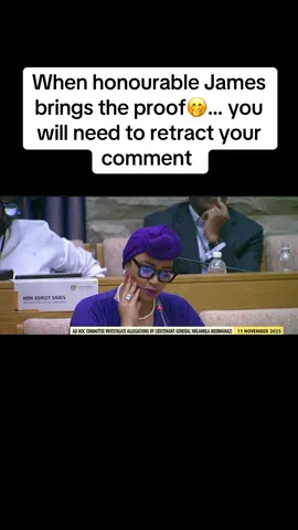 Impressive 🤭😅😅🙆 #adhoccommittee #madlangacommission #generalmkhwanazi #tiktoknews 