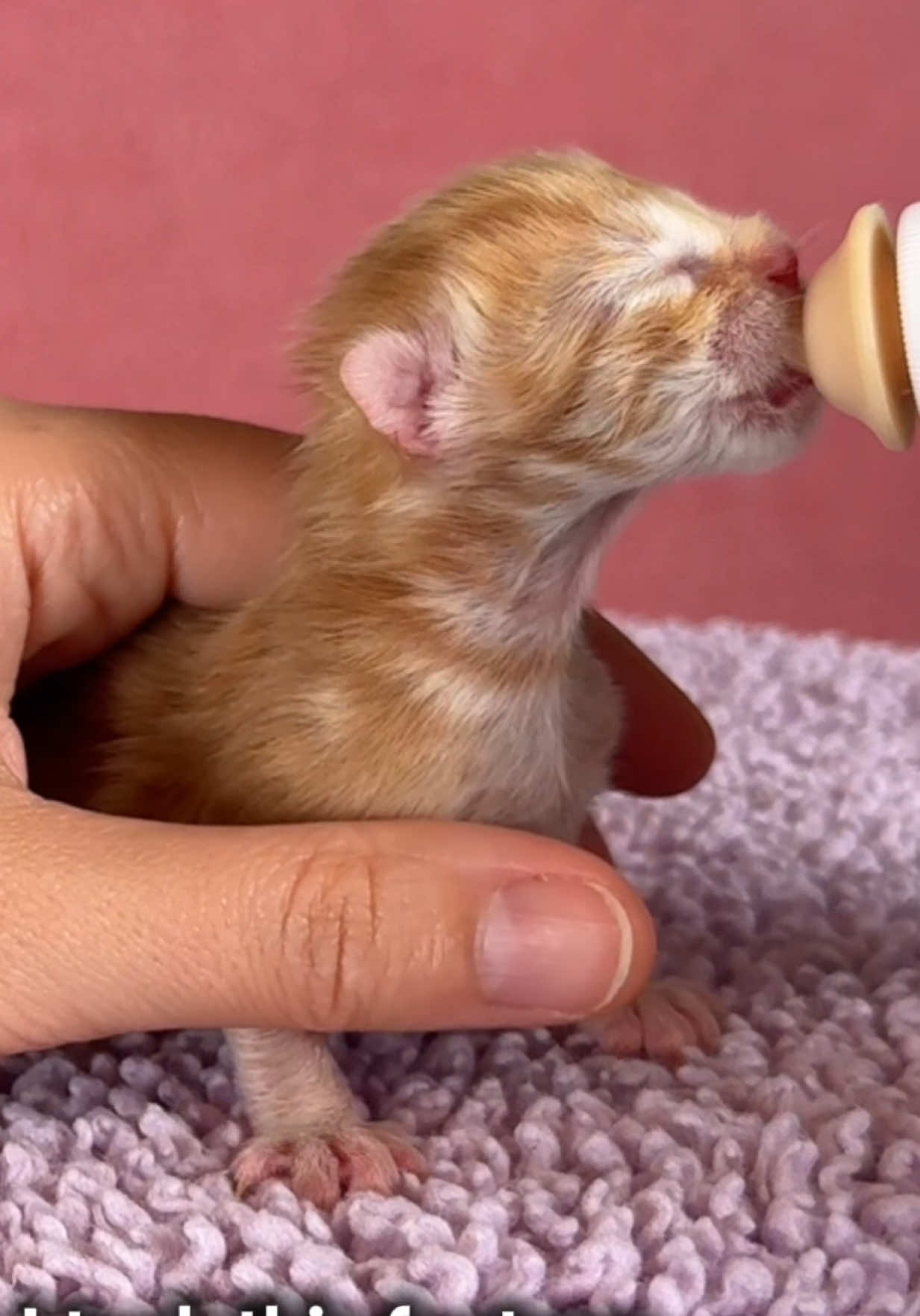 String Bean is now Strong Bean! 💪🧡